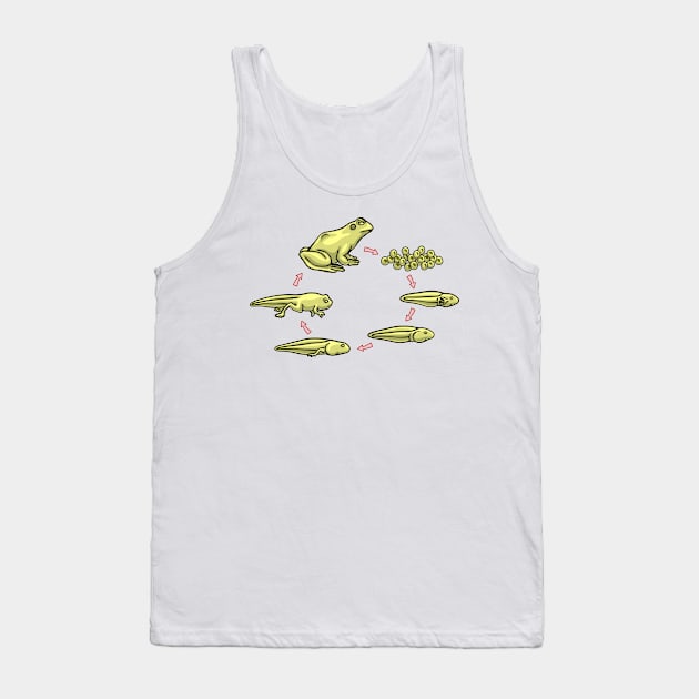 Frog Life Cycle - Amphibian Biology Daigram Tank Top by taylorcustom